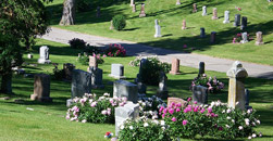 All States Cremation
